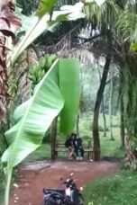 Pacaran di Kebon Terekam...!